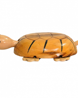 Wood Tortoise