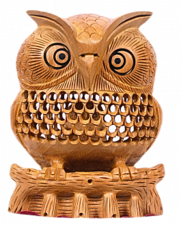 White Wood Owl