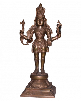 Bronze Shivan