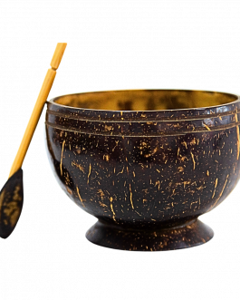 Coco Shell Soup Bowl With Spoon