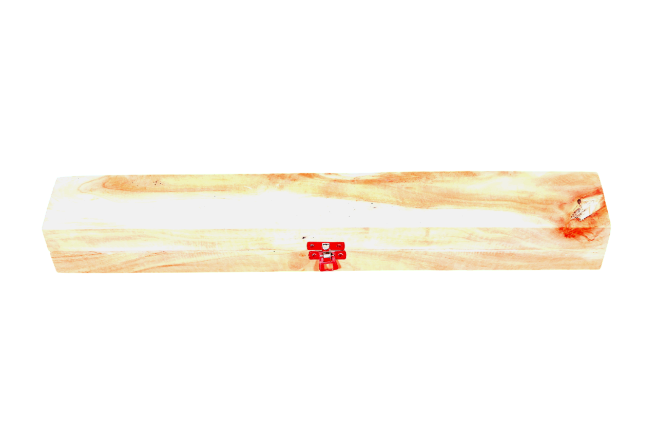 compressed-186-photoroom