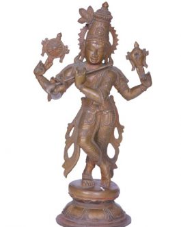 12 Inch Venugopal