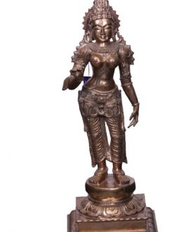 Bronze 26 Inch Sivagami