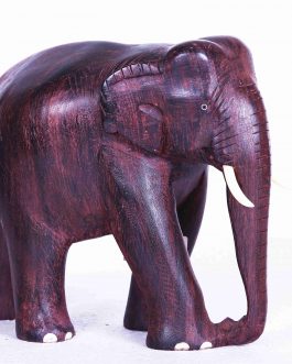 Rose Wood Elephant