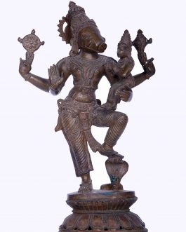 Bronze 10 inch Standing Koorma Varaha Lakshmi