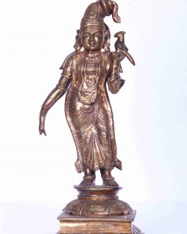 Bronze 12 inch Andal