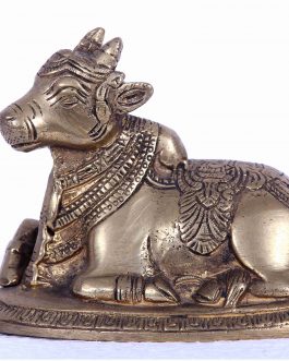 Brass Nandhi