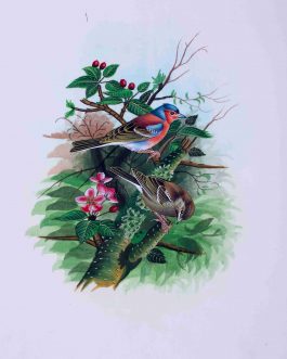 Silk Painting Birds