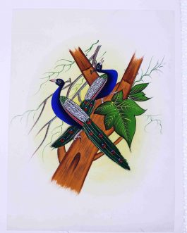 Silk Painting Peacock