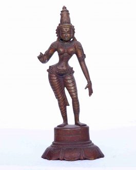 Bronze 8 inch Amman