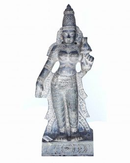 Stone 21 inch  Sridevi