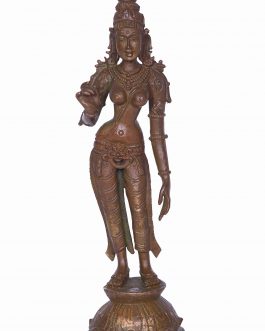Bronze Parvathi