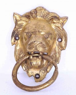 Brass Lion Face Door Handle