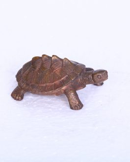 Brass Tortoise