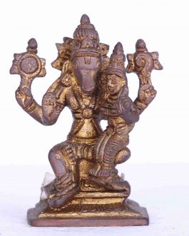 Brass Lakshmi Hayagrevar