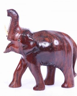 Rose Wood Elephant T/up