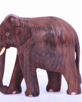 Rose Wood Plain Elephant T/D