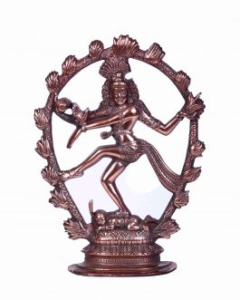 Brass Natarajar
