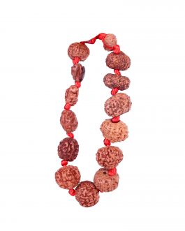 Rudracha Bracelet 1 to 14 Face