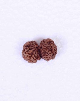 Gowri Sankar Rudracham