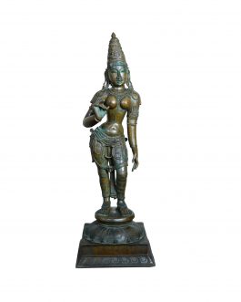 Bronze Sivagami 30 inch