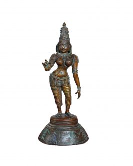 Bronze Sivagami 12 inch
